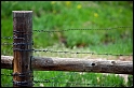 Fence Post